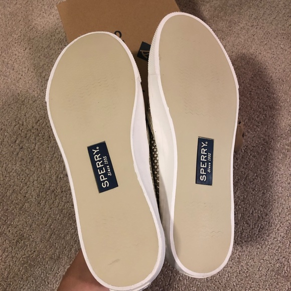 Sperry Flats - Picture 4 of 4